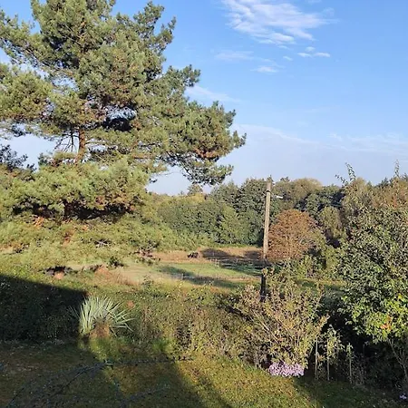 Bungalow Am Tinyhaus Holiday home Grimma